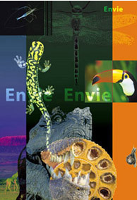 En vie Envie