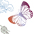 Miniatur Metamorphose