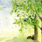 Miniatur Printemps